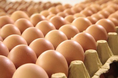 许昌鸡蛋检测价格,鸡蛋检测机构,鸡蛋检测项目,鸡蛋常规检测